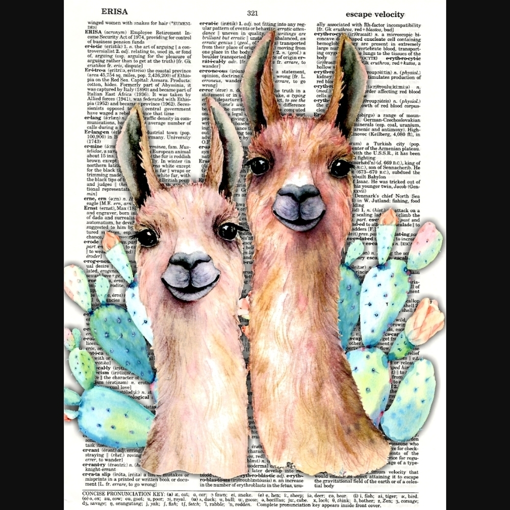 Llama Duo Cactus Blossom Dictionary Art Print